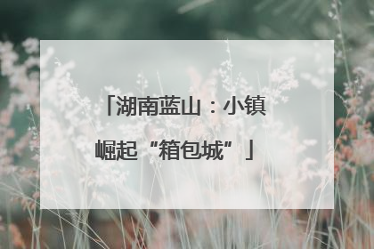 湖南蓝山：小镇崛起“箱包城”
