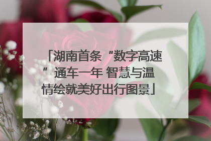 湖南首条“数字高速”通车一年 智慧与温情绘就美好出行图景