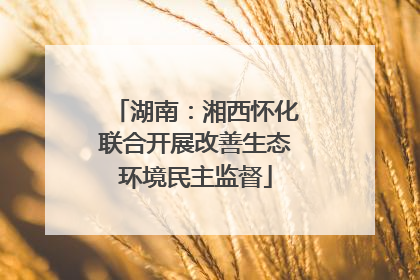 湖南：湘西怀化联合开展改善生态环境民主监督
