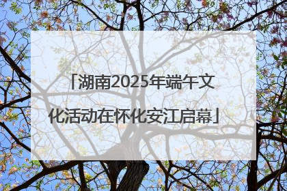 湖南2025年端午文化活动在怀化安江启幕