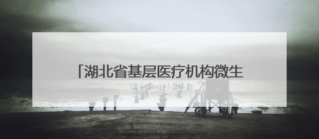 湖北省基层医疗机构微生物实验室建设与检测能力培训班（黄冈站）圆满落幕