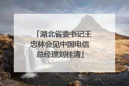 湖北省委书记王忠林会见中国电信总经理刘桂清