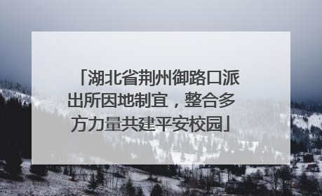 湖北省荆州御路口派出所因地制宜，整合多方力量共建平安校园