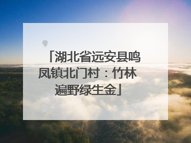 湖北省远安县鸣凤镇北门村：竹林遍野绿生金
