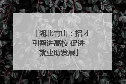 湖北竹山：招才引智进高校 促进就业助发展