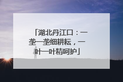 湖北丹江口：一垄一垄细耕耘，一叶一叶精呵护