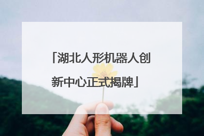 湖北人形机器人创新中心正式揭牌
