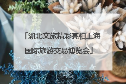 湖北文旅精彩亮相上海国际旅游交易博览会