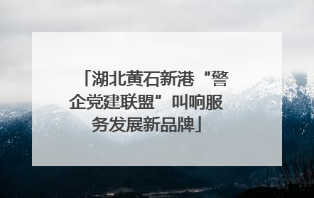 湖北黄石新港“警企党建联盟”叫响服务发展新品牌