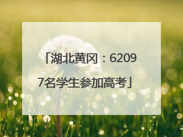 湖北黄冈：62097名学生参加高考