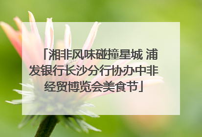 湘非风味碰撞星城 浦发银行长沙分行协办中非经贸博览会美食节