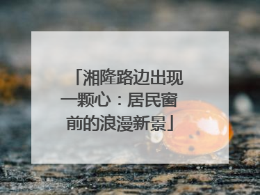 湘隆路边出现一颗心：居民窗前的浪漫新景