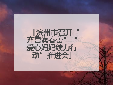 滨州市召开“齐鲁润春蕾”“爱心妈妈续力行动”推进会