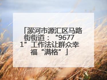 漯河市源汇区马路街街道：“96771”工作法让群众幸福“满格”