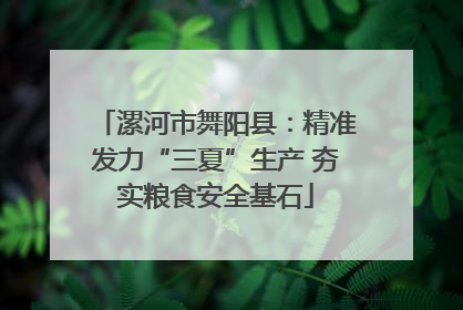 漯河市舞阳县：精准发力“三夏”生产 夯实粮食安全基石