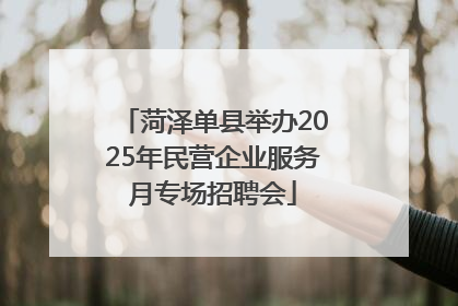 菏泽单县举办2025年民营企业服务月专场招聘会