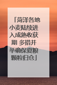 菏泽各地小麦陆续进入成熟收获期 多措并举确保夏粮颗粒归仓