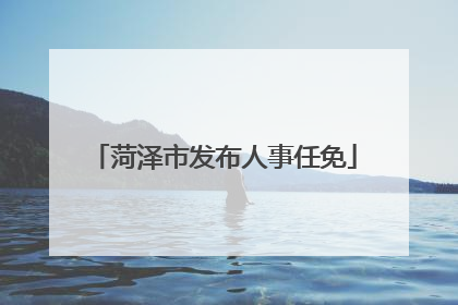 菏泽市发布人事任免