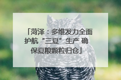 菏泽：多维发力全面护航“三夏”生产 确保夏粮颗粒归仓