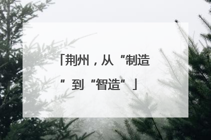 荆州，从“制造”到“智造”