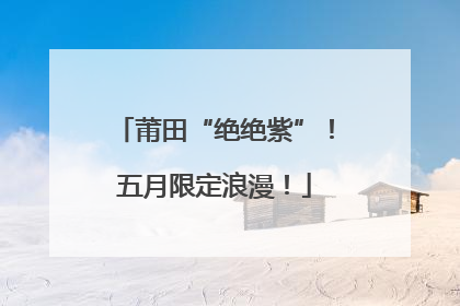 莆田“绝绝紫”！五月限定浪漫！