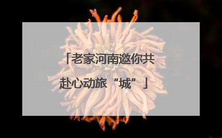 老家河南邀你共赴心动旅“城”