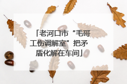 老河口市“毛哥工伤调解室”把矛盾化解在车间