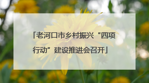 老河口市乡村振兴“四项行动”建设推进会召开