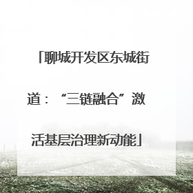 聊城开发区东城街道：“三链融合”激活基层治理新动能