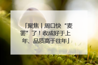 聚焦丨周口快“麦罢”了！收成好于上年、品质高于往年