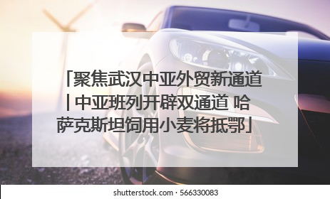 聚焦武汉中亚外贸新通道│中亚班列开辟双通道 哈萨克斯坦饲用小麦将抵鄂