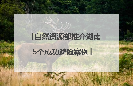 自然资源部推介湖南5个成功避险案例