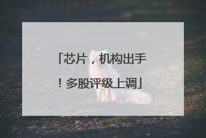 芯片，机构出手！多股评级上调