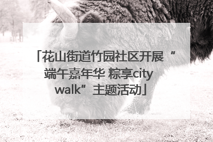 花山街道竹园社区开展“端午嘉年华 粽享city walk”主题活动