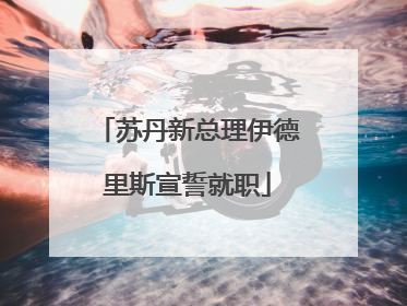 苏丹新总理伊德里斯宣誓就职
