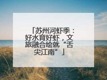 苏州河虾季：好水育好虾，文旅融合绘就“舌尖江南”