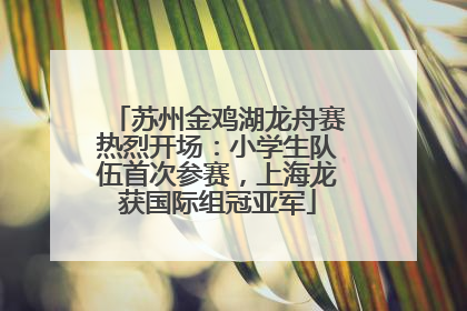 苏州金鸡湖龙舟赛热烈开场：小学生队伍首次参赛，上海龙获国际组冠亚军
