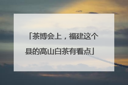 茶博会上，福建这个县的高山白茶有看点