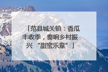 范县城关镇：香瓜丰收季，奏响乡村振兴 “甜蜜乐章”