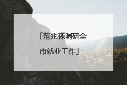 范兆森调研全市就业工作