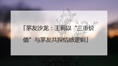 茅友沙龙：王莉以“三重价值”与茅友共探情感逻辑