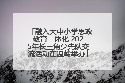 融入大中小学思政教育一体化 2025年长三角少先队交流活动在温岭举办