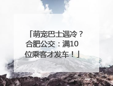 萌宠巴士遇冷？合肥公交：满10位乘客才发车！
