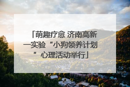 萌趣疗愈 济南高新一实验“小狗领养计划”心理活动举行