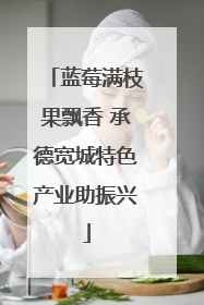 蓝莓满枝果飘香 承德宽城特色产业助振兴