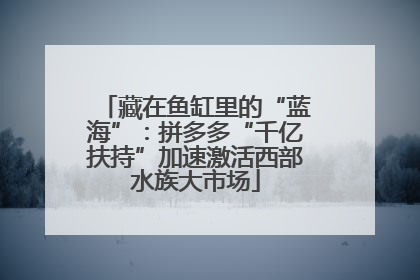 藏在鱼缸里的“蓝海”：拼多多“千亿扶持”加速激活西部水族大市场