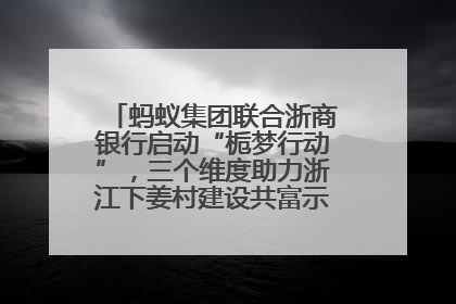 蚂蚁集团联合浙商银行启动“栀梦行动”，三个维度助力浙江下姜村建设共富示范区示范点