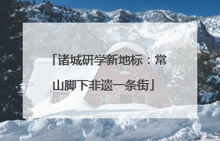 诸城研学新地标：常山脚下非遗一条街