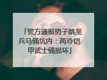 警方通报男子跳至兵马俑坑内：两尊铠甲武士俑损坏