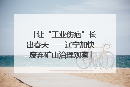 让“工业伤疤”长出春天——辽宁加快废弃矿山治理观察